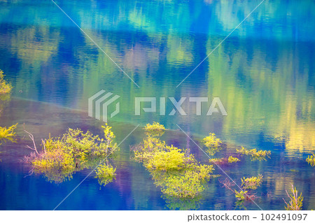 colorful reflection colorful reflection 102491097