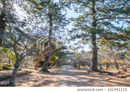 Hagi Castle Ruins Hagi Castle Ruins 102491128