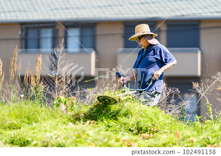 Elderly man mowing with a mower in early summer 102491138