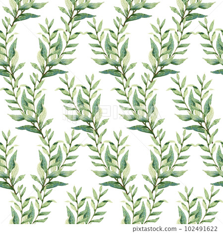 Watercolor greenery seamless pattern, floral texture on white 102491622