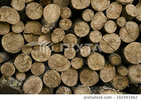Stacked logs, firewood 102491662