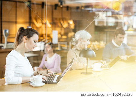 Smiling woman using laptop and drinking coffee in modern cafe Smiling woman using laptop and drinking coffee in modern cafe 102492123