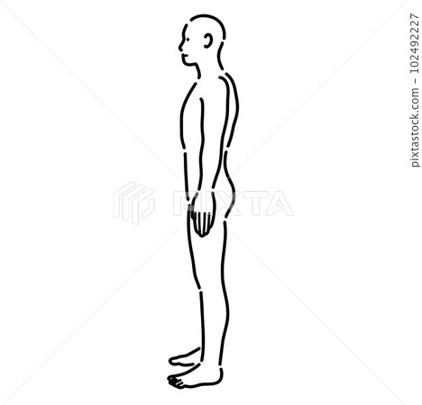 Illustration of a male nude human body seen... - Stock Illustration