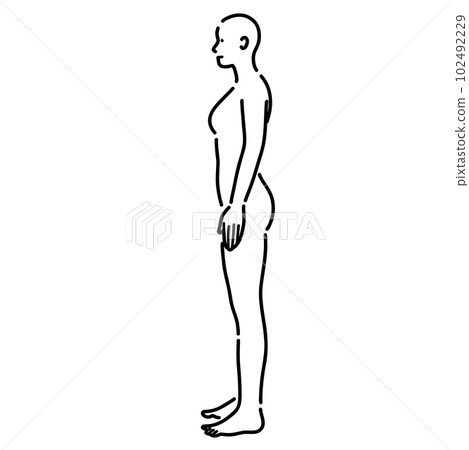Illustration of a female nude human body seen from the side 102492229
