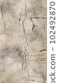 [Vertical] Cracked and decayed white wall 102492870