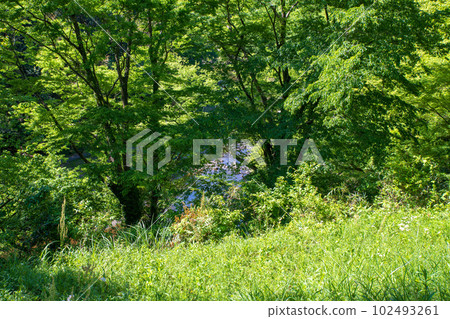 嵐山溪谷沿線,展望台附近的景色,綠意盎然的景色,武藏的小京都 嵐山溪谷沿線,展望台附近的景色,綠意盎然的景色,武藏的小京都 102493261