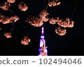 Night cherry blossoms and docomo tower 102494046