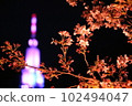 Night cherry blossoms and docomo tower 102494047