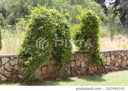 fence in a city park in northern Israel fence in a city park in northern Israel 102494141