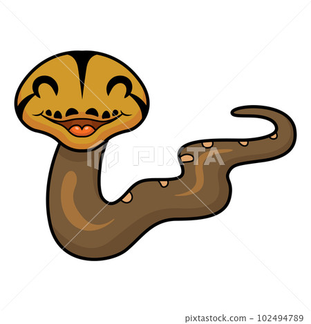 Cute golden child reticulated python cartoon 102494789