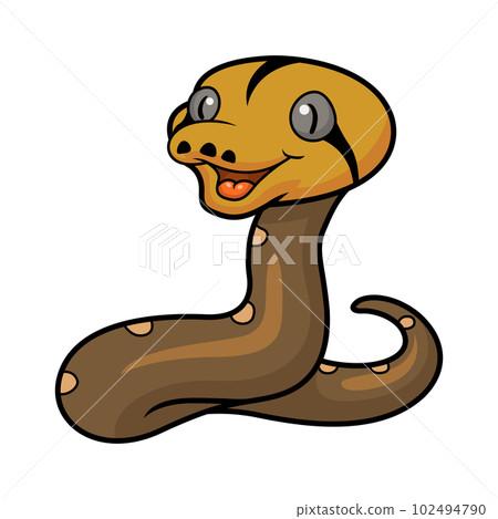 Cute golden child reticulated python cartoon 102494790