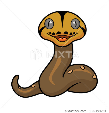 Cute golden child reticulated python cartoon 102494791