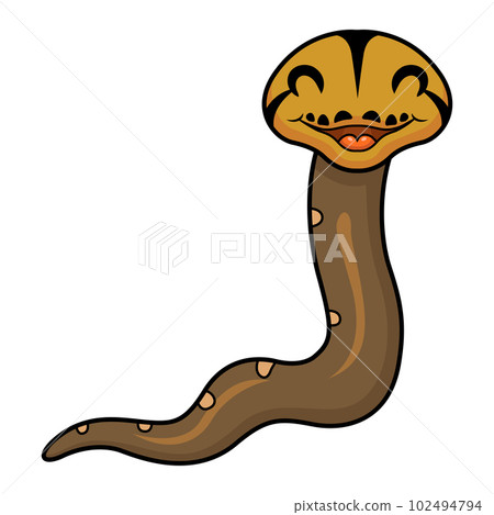 Cute golden child reticulated python cartoon 102494794