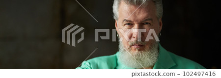 Portrait of stylish modern gray haired mature man with beard wea 102497416
