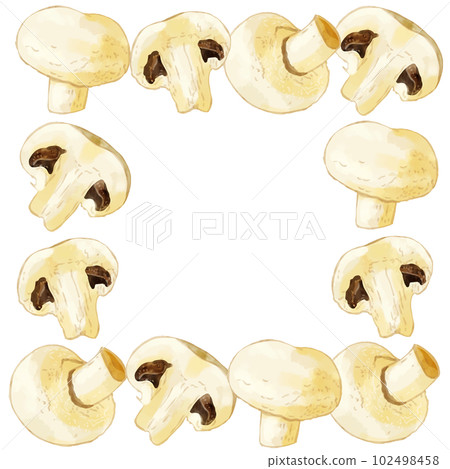 Hand-painted watercolor white mushroom illustration square frame 102498458