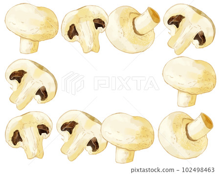 Hand-painted watercolor white mushroom illustration rectangular frame and enclosure 102498463