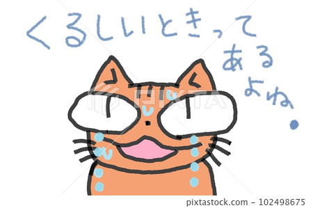 The pain of cats with big eyes 102498675