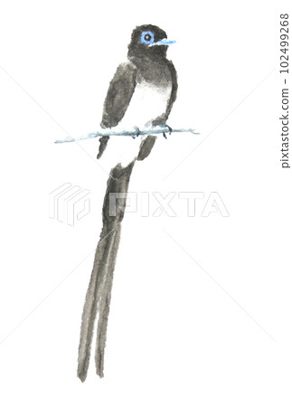 Flying butterfly watercolor painting 102499268