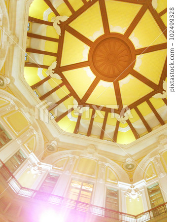 Ceiling of Tokyo Station 102499328