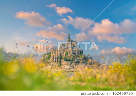 Famous Le Mont Saint-Michel tidal island in Normandy, France 102499750