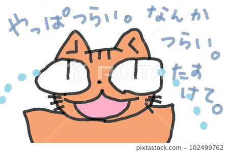 大眼睛貓的痛苦 大眼睛貓的痛苦 102499762