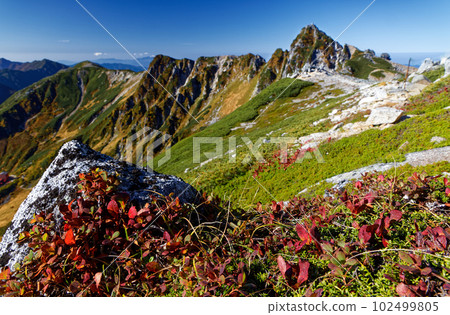 Central Alps・Hokendake and Urashima Azalea 102499805