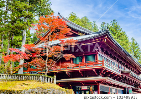 栃木日光山輪王寺～大込堂～ 102499915