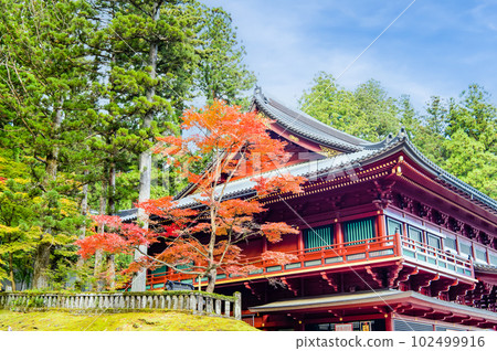 栃木日光山輪王寺～大込堂～ 102499916