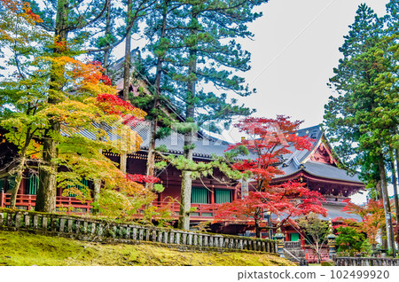 栃木日光山輪王寺~大込堂~ 栃木日光山輪王寺~大込堂~ 102499920