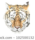 老虎的臉手繪水彩 102500132