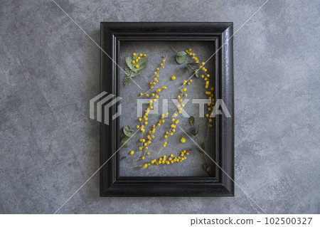 Mimosa and frame decor 102500327