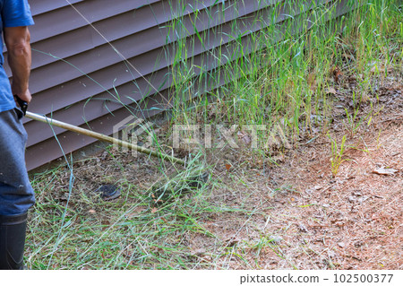 Trimming grass on lawn around residential building with lawn mower is job of worker lawn mower. 102500377