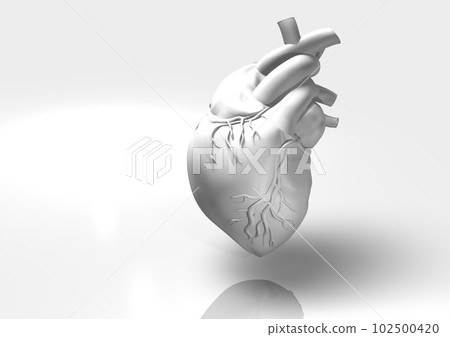 Anatomy of the heart, simple monochrome image (3DCG) Anatomy of the heart, simple monochrome image (3DCG) 102500420
