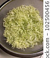 捲心菜絲 102500456