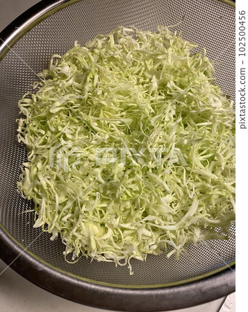 捲心菜絲 102500456