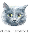 灰色成年貓臉手繪油畫棒 102500511