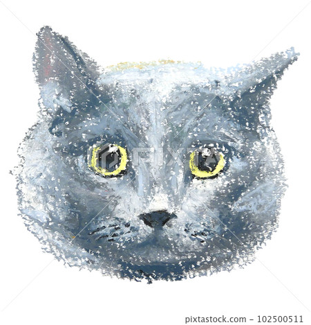 灰色成年貓臉手繪油畫棒 102500511