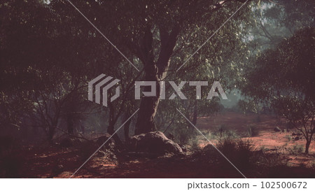 Coastal vegetation with trees and shrubs 102500672