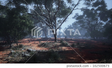 Coastal vegetation with trees and shrubs Coastal vegetation with trees and shrubs 102500673