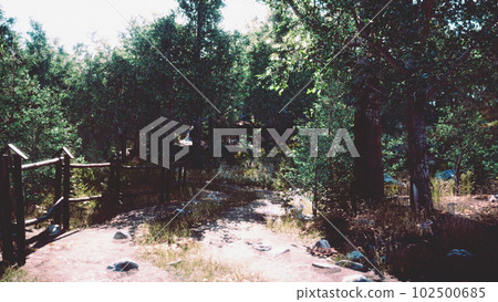 Dirt road or mud road in forest Dirt road or mud road in forest 102500685
