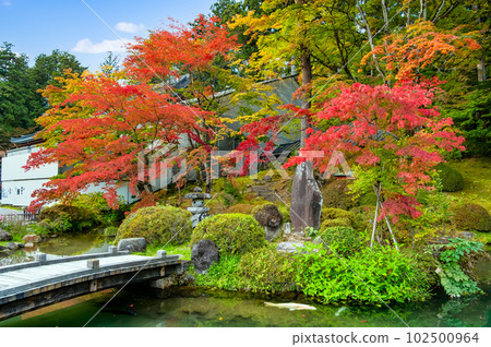 栃木縣的日光山輪王寺——紅葉的日式庭園—— 102500964