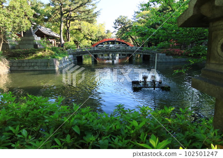 A distant view of Sorihashi in the precincts of Sumiyoshi Taisha in Osaka, Japan 102501247