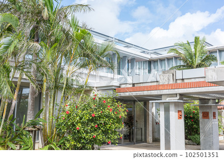 Ishigaki Airport Ishigaki Airport 102501351