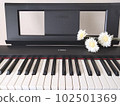 keyboard and gerbera flower 102501369