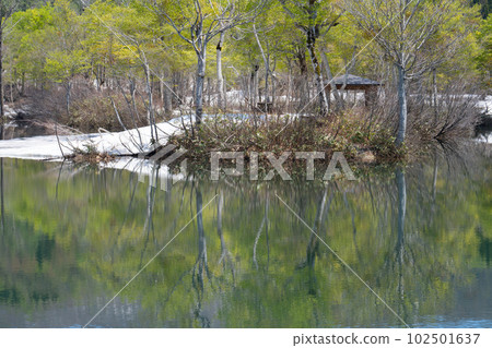 Gassan Plateau - Jizo Marsh in Spring 102501637