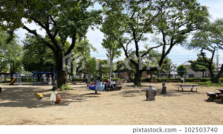 初夏公園風光 初夏公園風光 102503740