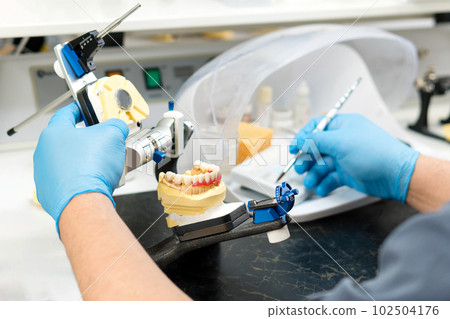 Dental prosthesis work. Teeth painting. 102504176