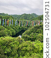 Koinobori Festival 102504731