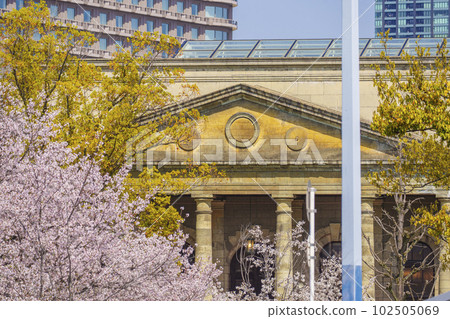 舊櫻之宮公會堂(舊民造鑄造廠正門) 櫻花盛開 舊櫻之宮公會堂(舊民造鑄造廠正門) 櫻花盛開 102505069