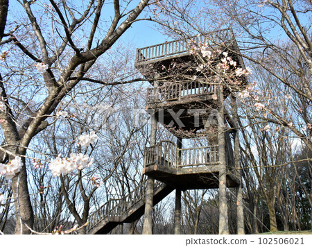栃木縣羽賀郡羽賀町富士山自然公園 栃木縣羽賀郡羽賀町富士山自然公園 102506021